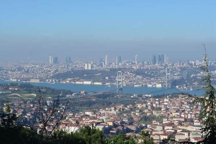 image-.jpg