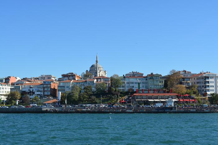image-.jpg