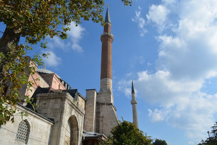 image-.jpg