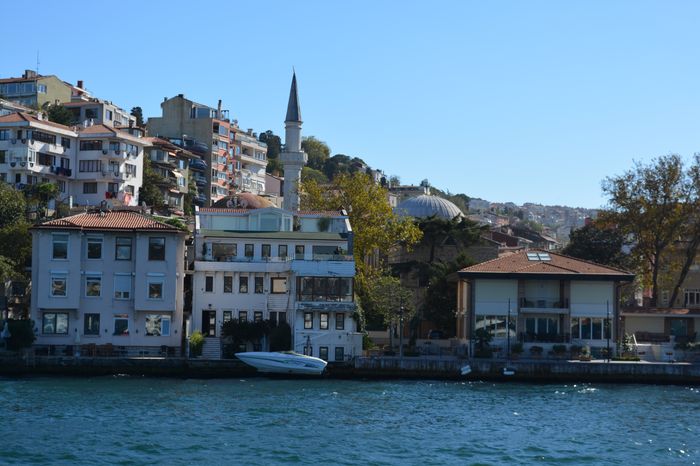 image-.jpg