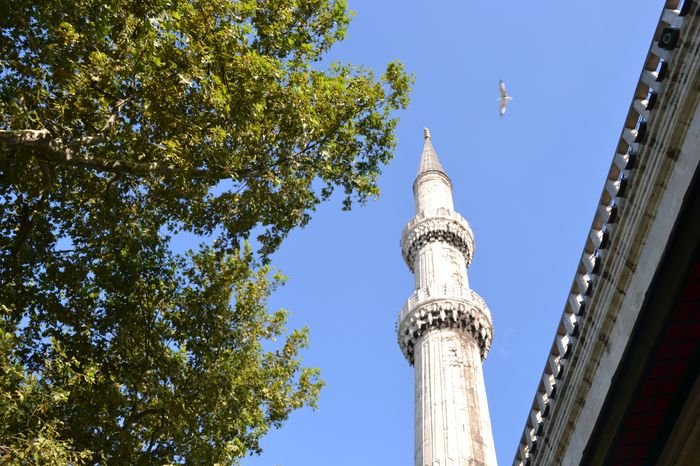 image-.jpg
