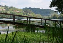 The Armenians and Their Struggles in Constantinople